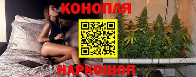 мдпв Ипатово