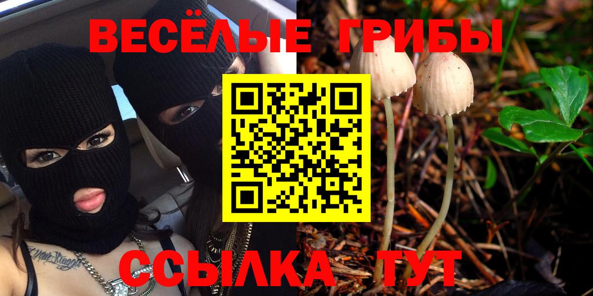Менделеевск  Псилоцибиновые грибы ЛСД  Вход с VPN 