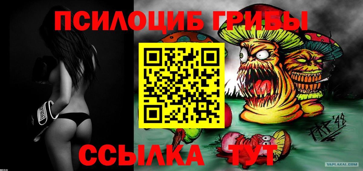 Псилоцибиновые грибы мицелий Менделеевск